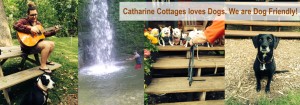 Catharine Cottages - Watkins Glen - New York’s Finger Lakes Wine Country dogs