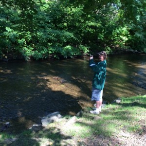 Appreciating the Creek - Catharine Cottages/Watkins Glen, New York